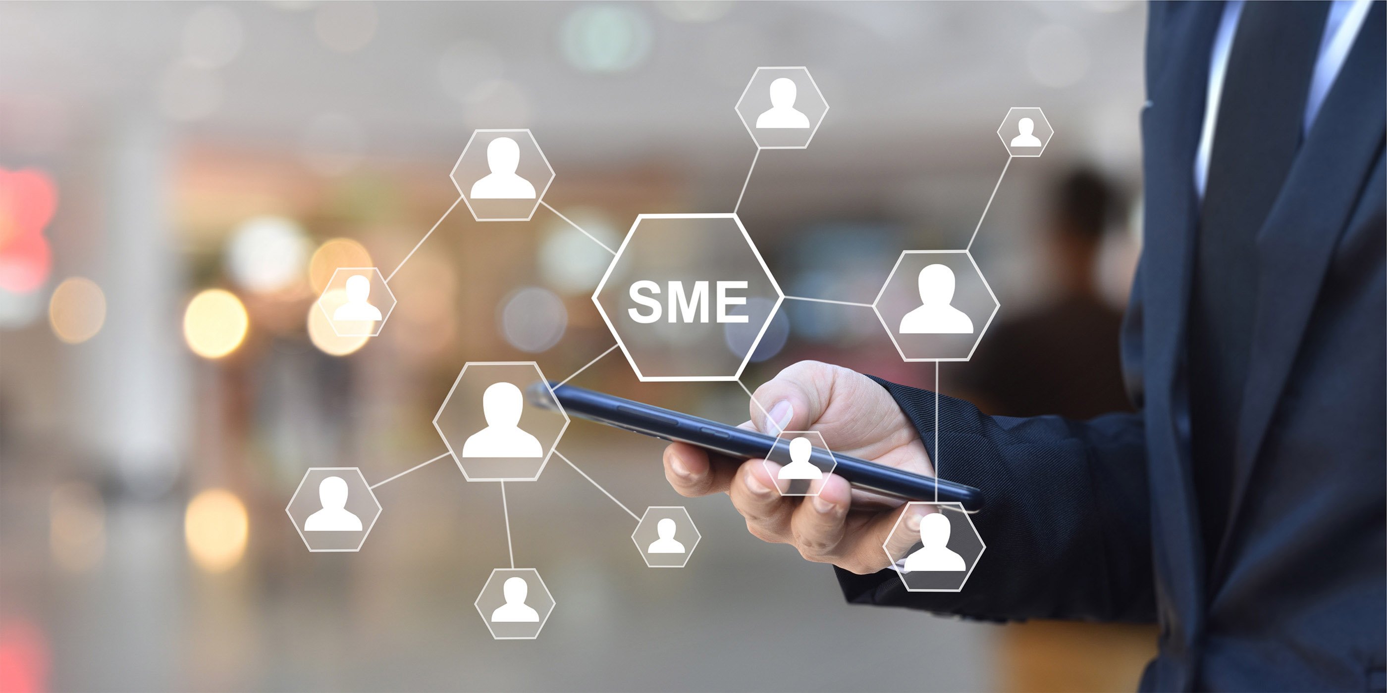 SME Lead image
